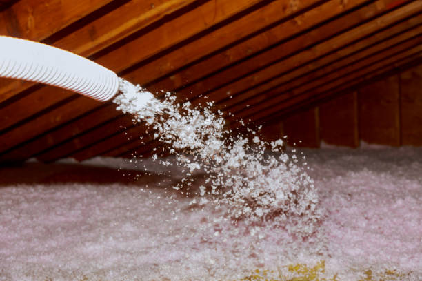 Best Cellulose Insulation in Prieville, NC