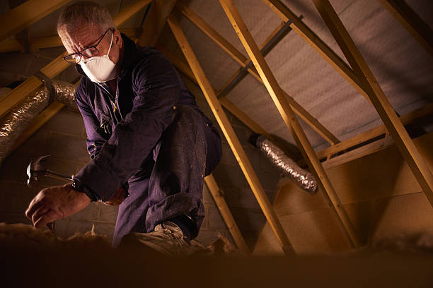 Types of Insulation We Offer in Princeville, NC
